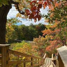 RBG Hendrie Valley Sanctuary – Bild 5