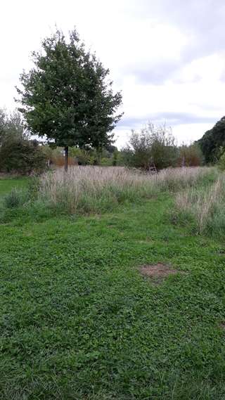 Kinderwald Pulheim – Bild 1