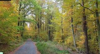 Geraer Stadtwald – Bild 1