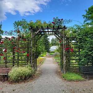 Schloßteichpark – Bild 5