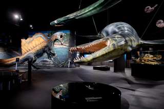 Aquarium Wilhelmshaven – Bild 3