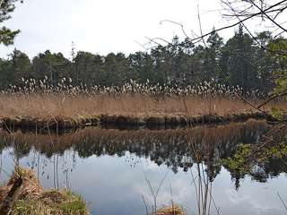 Entenweiher – Bild 3