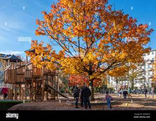 Kinderspielplatz, Arkonaplatz – Bild 5