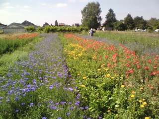 Erlebnisgarten-Hamburg – Bild 3