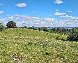 Perchtoldsdorfer Heide – Bild 3