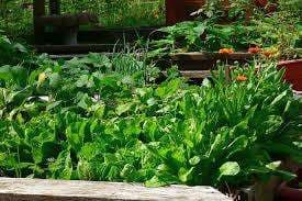 Urban Farm Museum Society of Spryfield – Bild 5