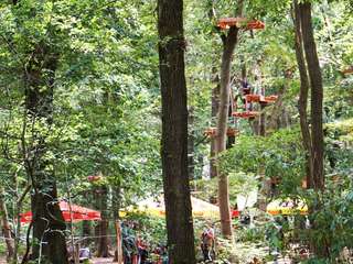 Kletterwald Niederrhein – Bild 4
