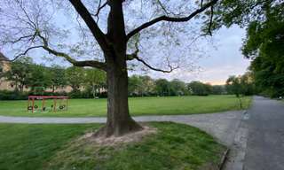 Goetheanlage – Bild 1