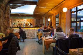 Abessina Göttingen – Bild 1