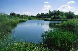 Ziegeleipark Böckingen – Bild 1