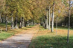 Park Schönbusch – Bild 5