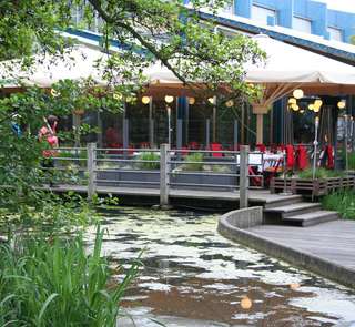 Café Pflanzenschauhaus Luisenpark – Bild 1