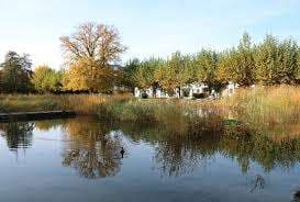 Seepark Ostermundigen – Bild 2