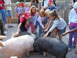 Tierpark Pforzheim – Bild 1