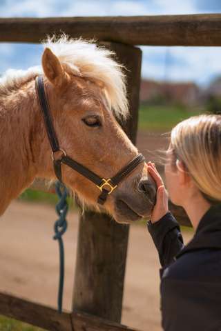 Ponyhof Café Bübel – Bild 2