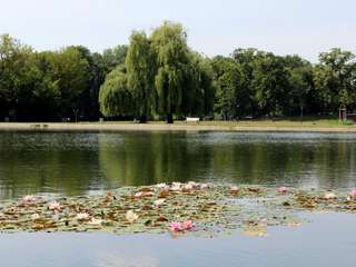 Ziegelwiese – Bild 5