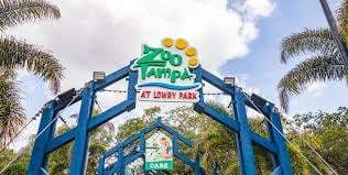 Tampa Park – Bild 6