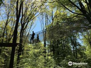 Waldkletterpark Velbert-Langenberg – Bild 4