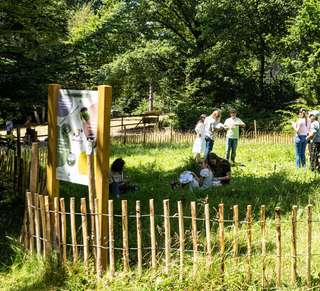 Tier- und Pflanzenpark Fasanerie Wiesbaden – Bild 5