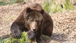 Tier- und Pflanzenpark Fasanerie Wiesbaden – Bild 6