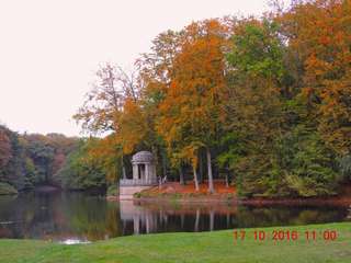 Stadtwald – Bild 1