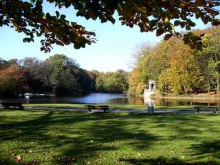 Stadtwald – Bild 5