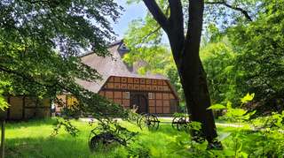 Stadtpark Speckenbüttel – Bild 6