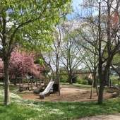 Spielplatz Wolfsbergallee – Bild 4