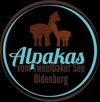 Alpakas vom Tweelbäker See Oldenburg – Bild 1