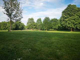 Rehmplatz – Bild 5