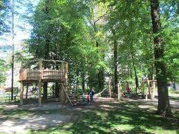 Bosco Isolino – Bild 3