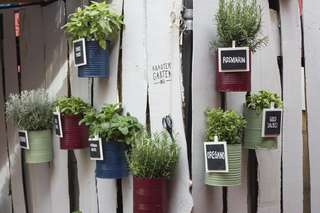 Café Wunschlos glücklich – Bild 1