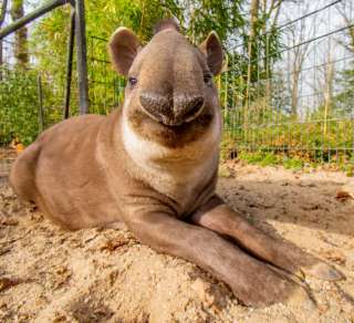 Zoo Dortmund – Bild 3