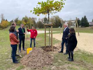 Spielplatz Döbbrick – Bild 1