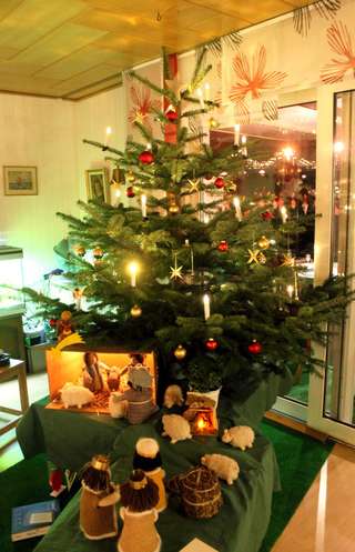 Weihnachtsbäume / Kaminholz Hof Börgen – Bild 4