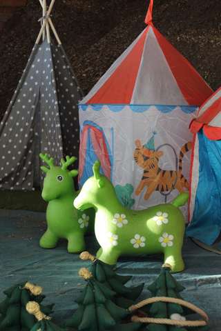 Weihnachtsbäume / Kaminholz Hof Börgen – Bild 5