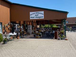 Hof Hagen - Scheunencafé und Hofladen – Bild 1