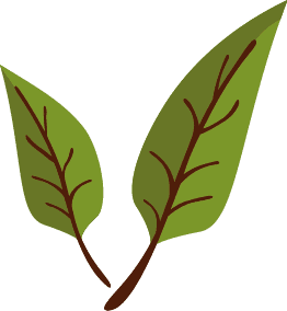 Natventure Games – Bild 1