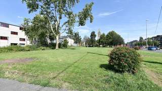 Georgswiese – Bild 3