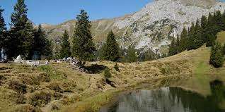 Bewegungsraum Fleschseeli – Bild 1