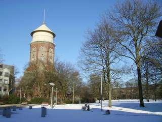 Stadtpark - Lehe – Bild 6