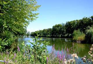 Stadtpark Wieseckaue – Bild 5