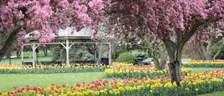 Southside Park – Bild 2
