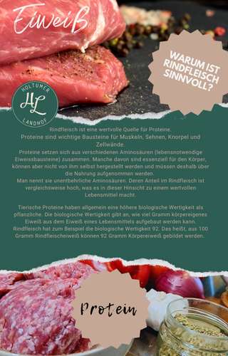 Holtumer Landhof – Bild 3