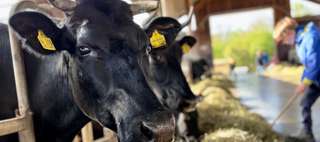 Lernort Bauernhof Hofgut Oberfeld – Bild 3