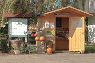 Hofladen und Alpaka-Hof Nester - - Erlebnisbauernhof - - Obst und Gemüsehandel - - Wild aus Eigener Jagd – Bild 4