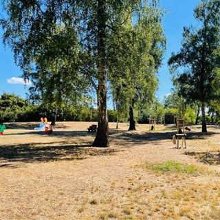 Spielplatz Birkenwäldchen – Bild 3