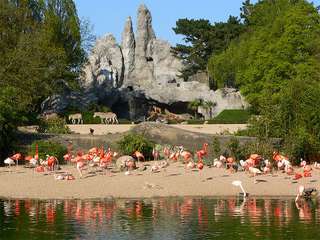 Tierpark Hagenbeck – Bild 3