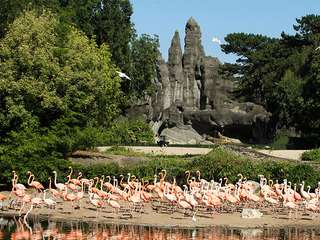 Tierpark Hagenbeck – Bild 4