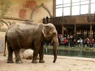 Tierpark Hagenbeck – Bild 6